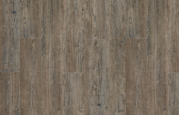 Latin Pine 24868