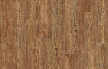 Latin Pine 24874