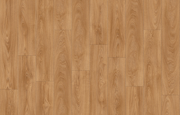 Laurel Oak 51822