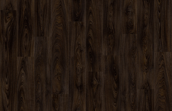 Laurel Oak 51992