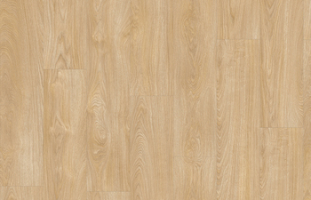 Laurel Oak 51282