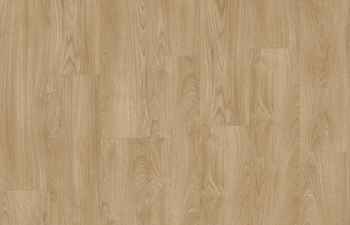 Laurel Oak 51824