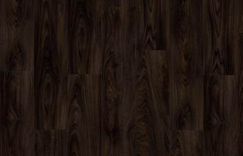 Laurel Oak 51992