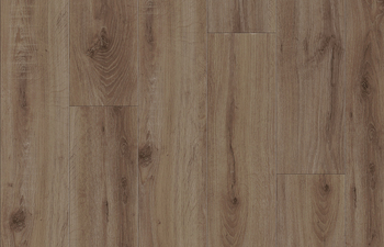 European Oak 2870