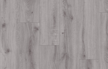 European Oak 2951