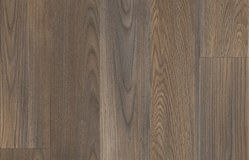 Mexican Ash 20875