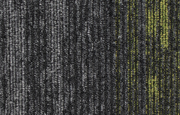 Organic Shift 956