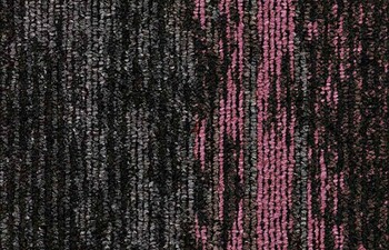 Organic Shift 964