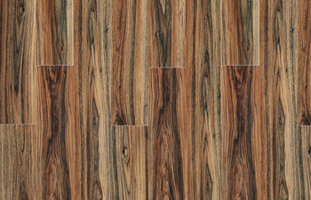 Persian Walnut 20444