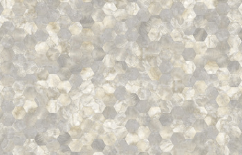 Big Hexagon 294