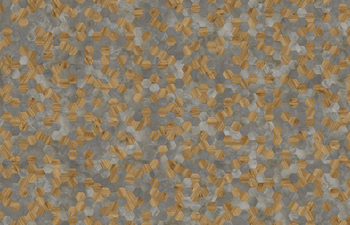 Hexagon 323