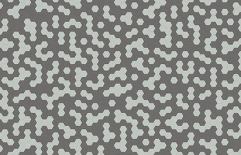 Hexagon 338