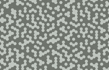 Hexagon 339