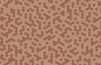 Hexagon 341