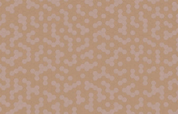 Hexagon 342