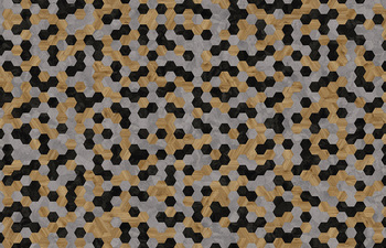 Hexagon 343