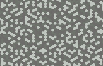 Hexagon 344
