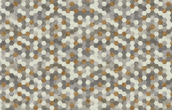 Hexagon 348