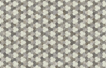 Hexagon 352