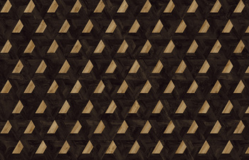 Vortex 364