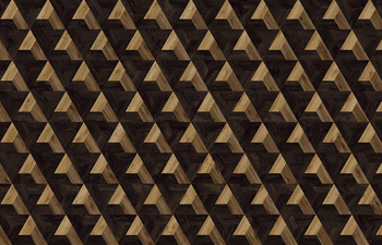 Vortex 365