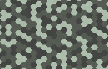 Big Hexagon 420