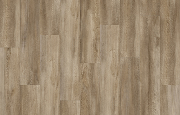 Santa Cruz Oak 59253