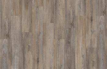 Santa Cruz Oak 59823