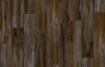 Santa Cruz Oak 59963