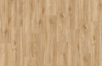 Sierra Oak 58346