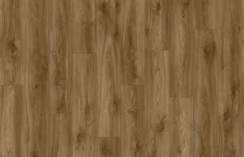 Sierra Oak 58876