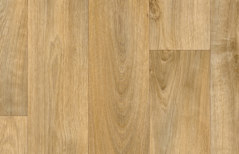 Tavel T50