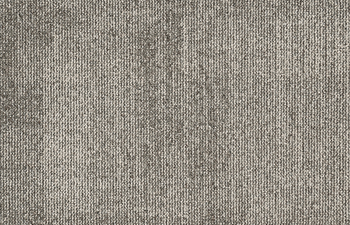 Teak 975
