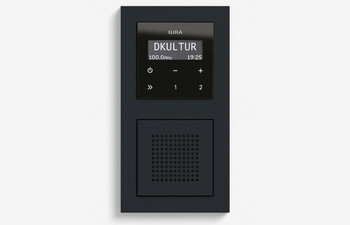 RDS flush-mounted radio with a speaker black glass appearance (including E2)
