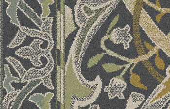Arley Lichen
