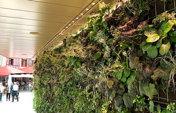 LED-Hayat Einbauleuchte