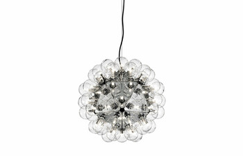 Taraxacum 88 Suspension