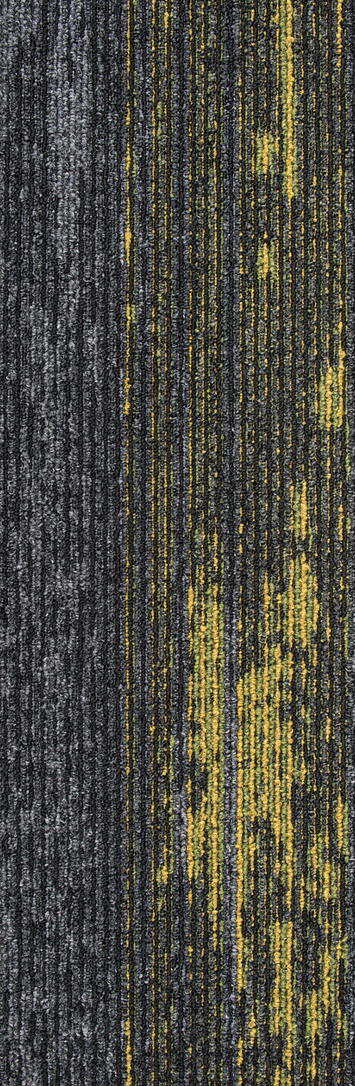 Disruptive Path 931