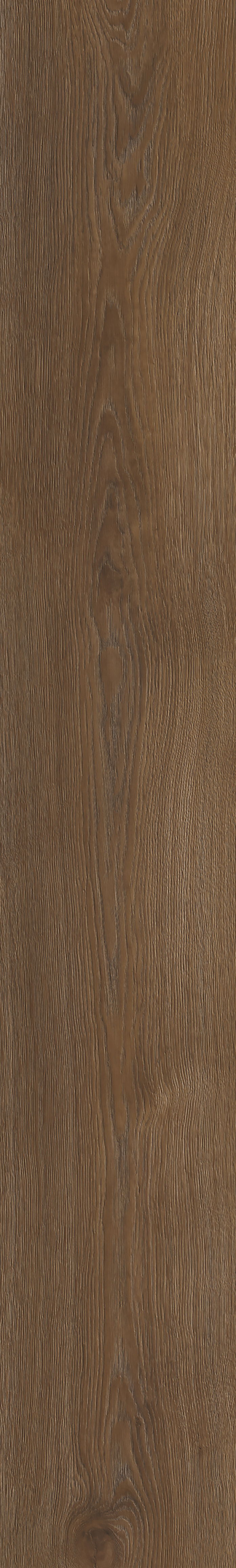 Sherman Oak 22841 Kopie