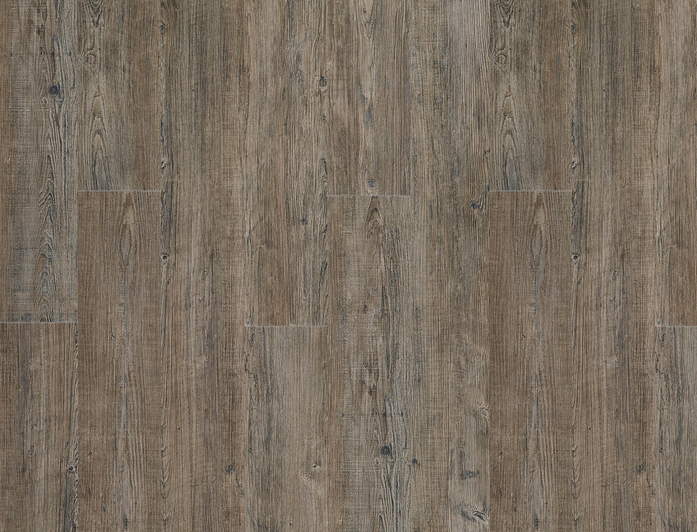LATIN PINE 24868