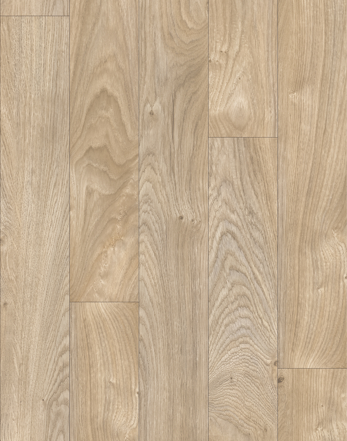 Chester oak 24229