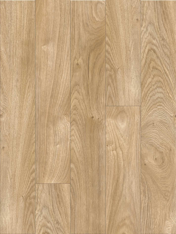 Chester oak 24418