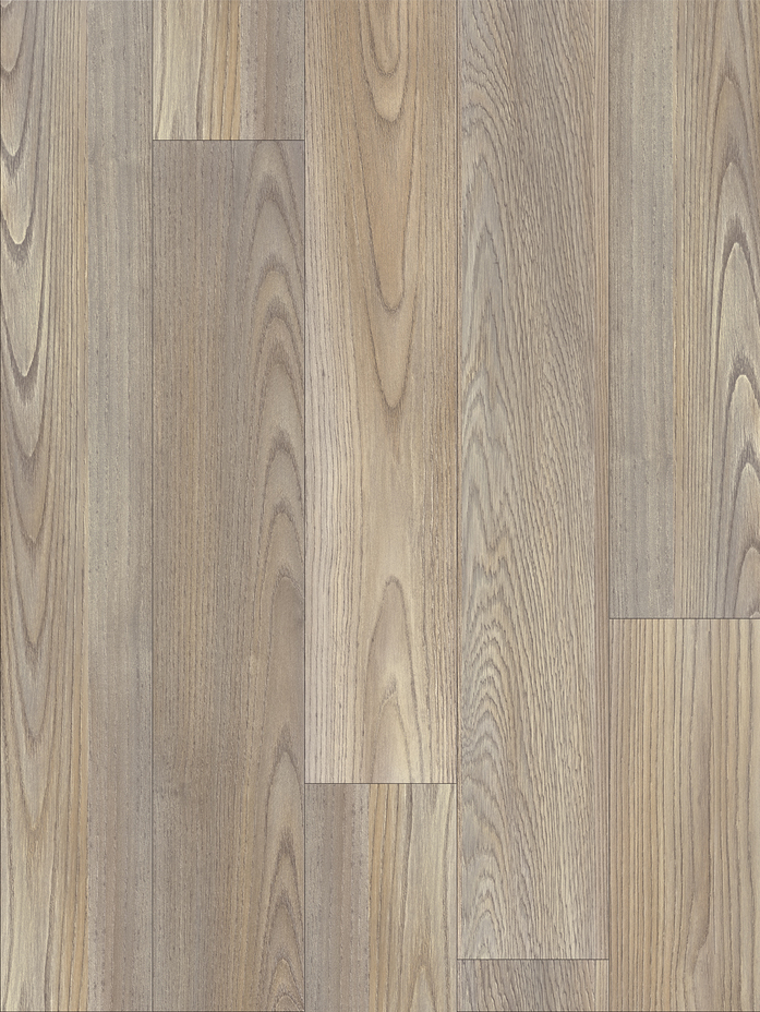 Mexican Ash 20245