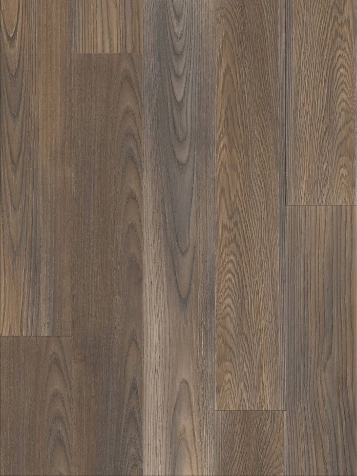 Mexican Ash 20875