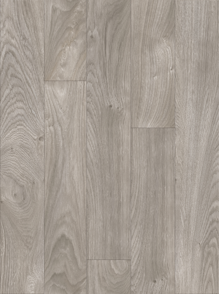 Chester oak 24948