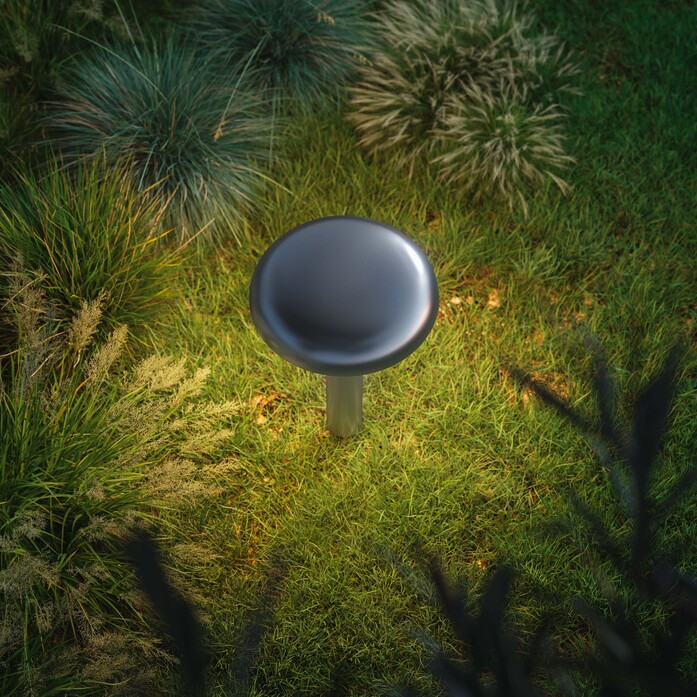 002 KNOP