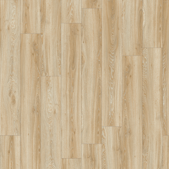 BLACKJACK OAK 22220