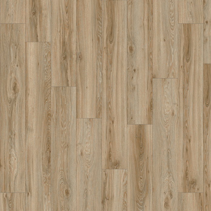 BLACKJACK OAK 22229