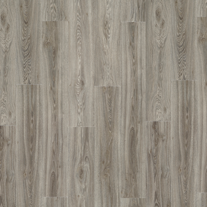 BLACKJACK OAK 22937
