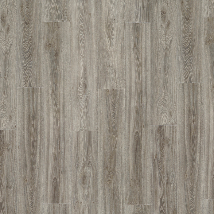 BLACKJACK OAK 22937